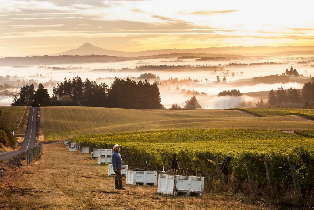 An Oregon winery. (Photo by Anna Campbell/Oregon Wine Board).